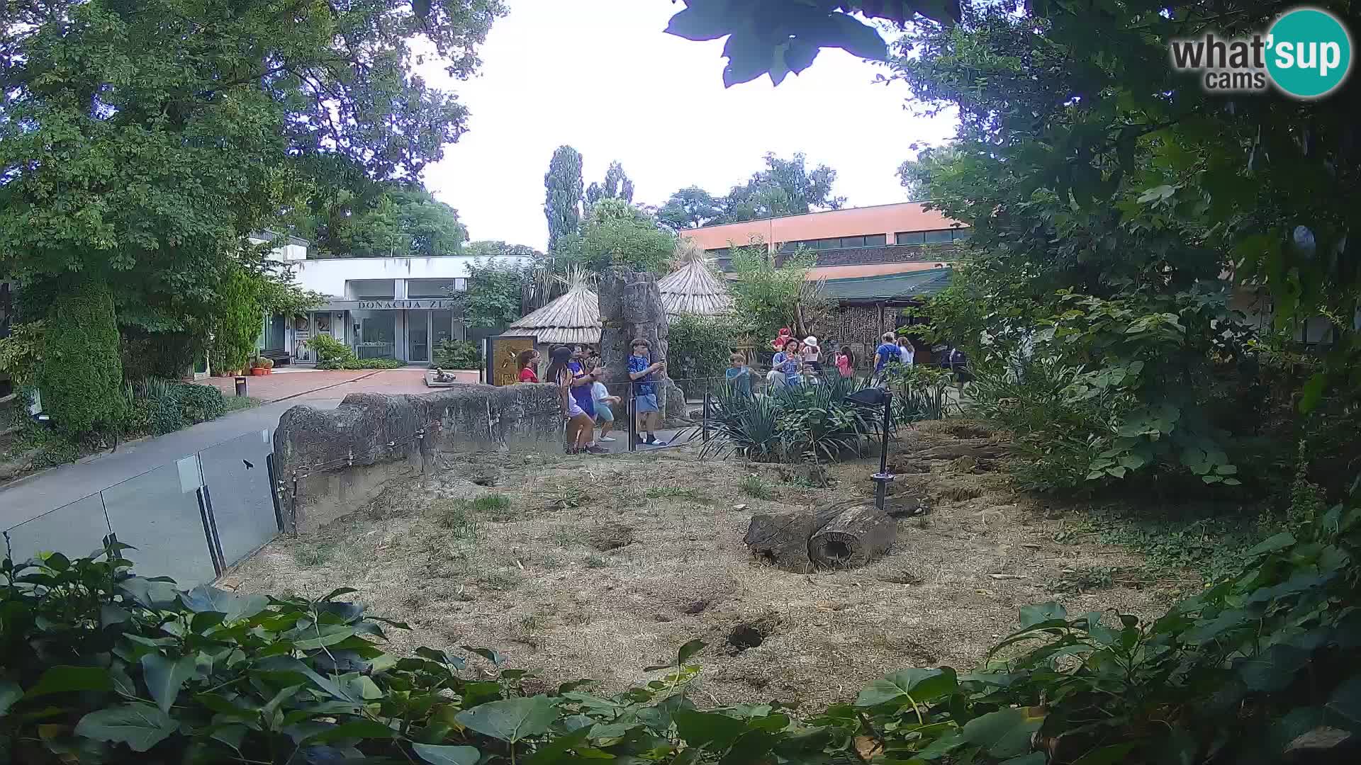 Zoo Zagreb – Erdmännchen