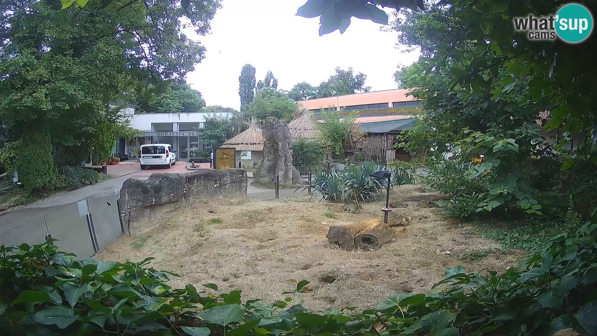 Zoo Zagreb – Erdmännchen