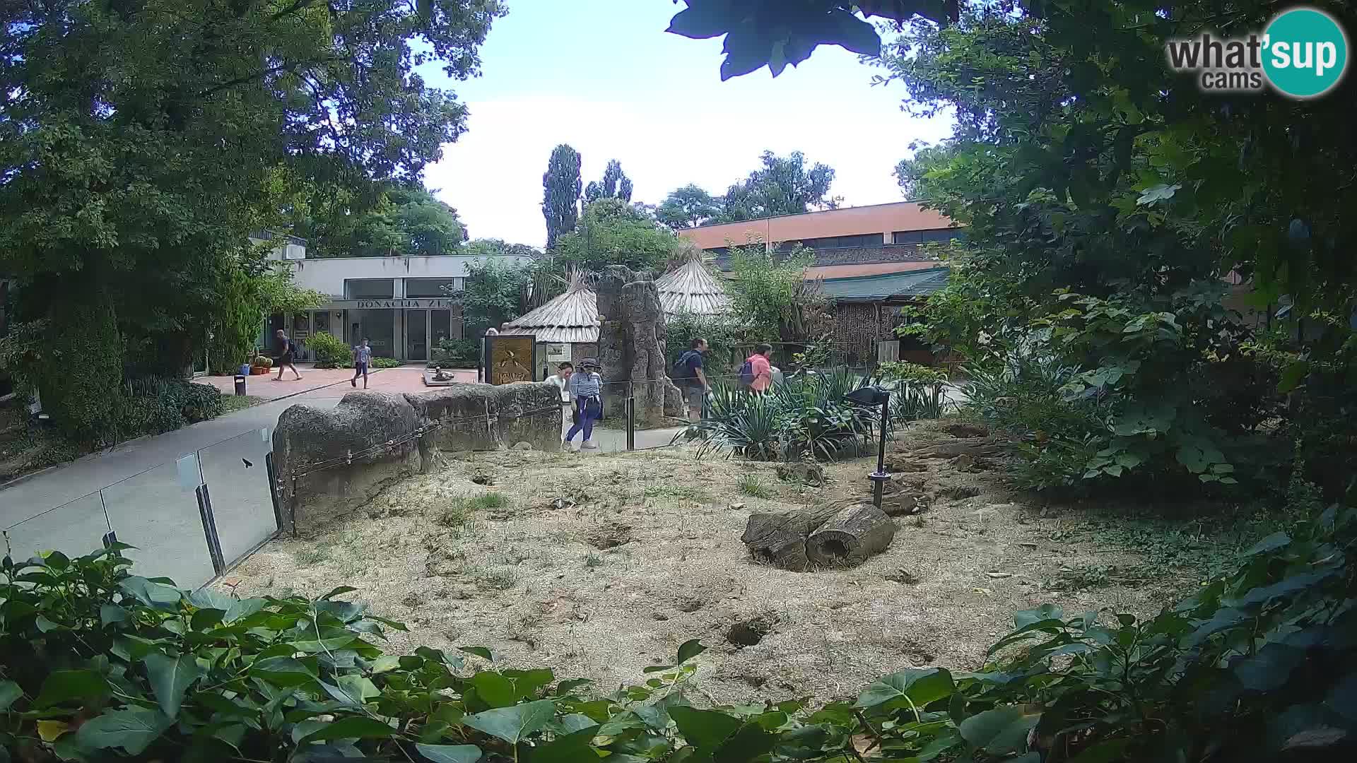Zoo Zagreb – Merkat