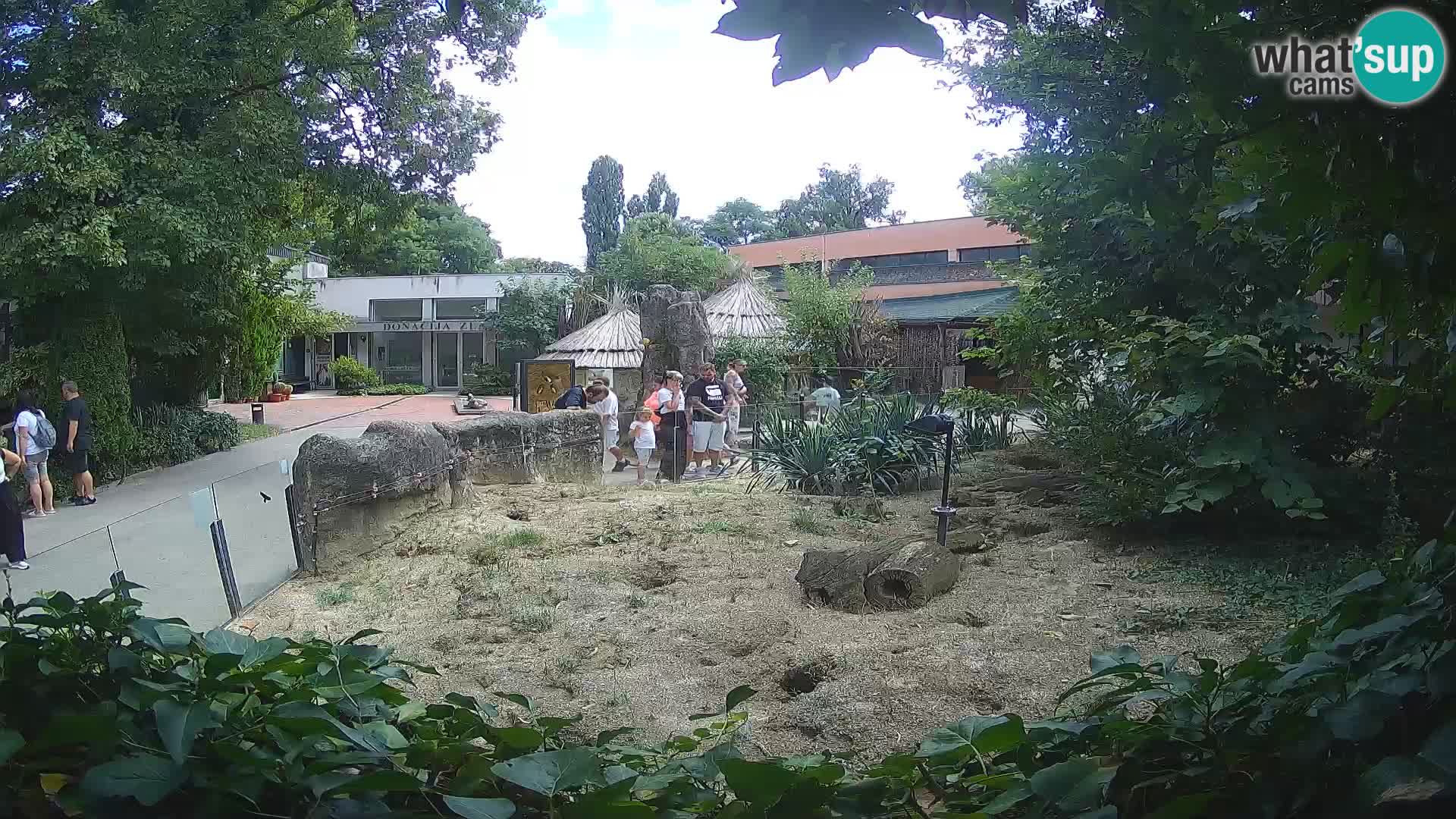 Zoo Zagreb – Suricata