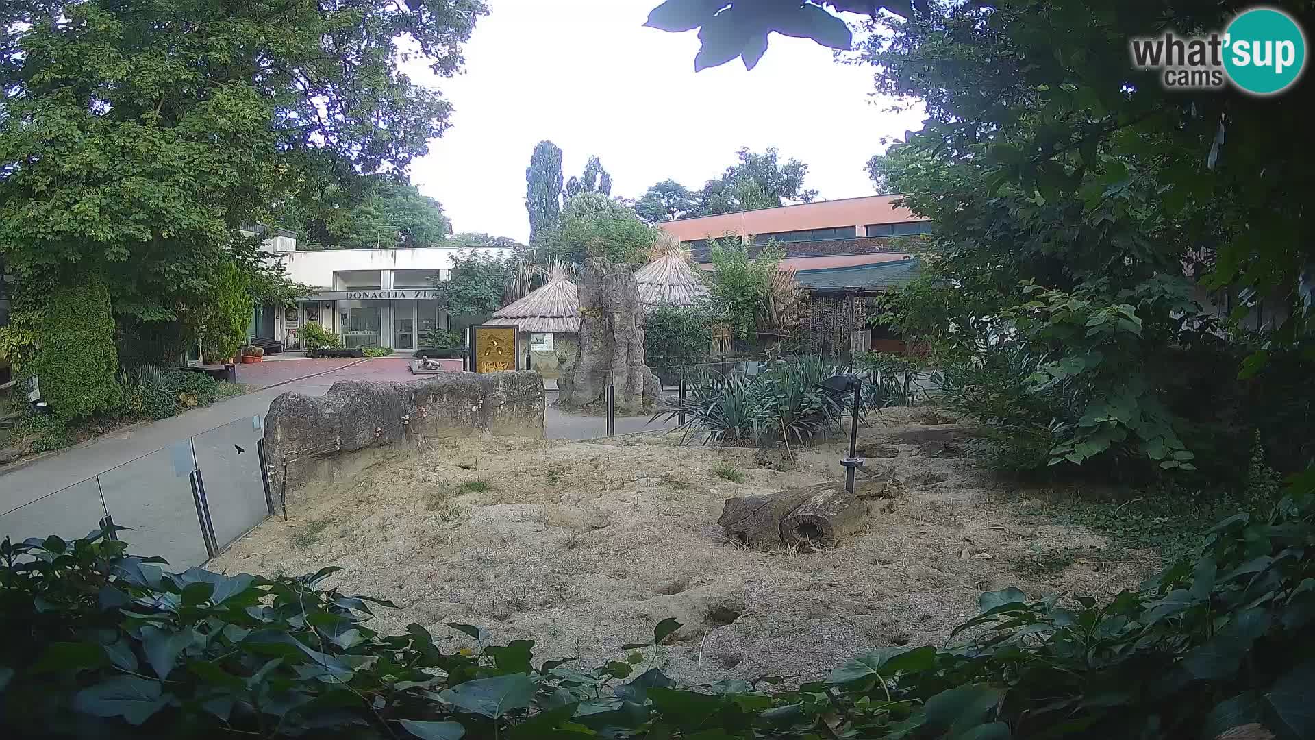 Zoo Zagreb – Surikate