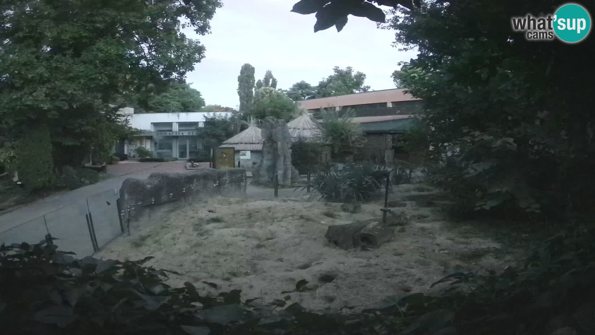 Zoo Zagreb – Erdmännchen