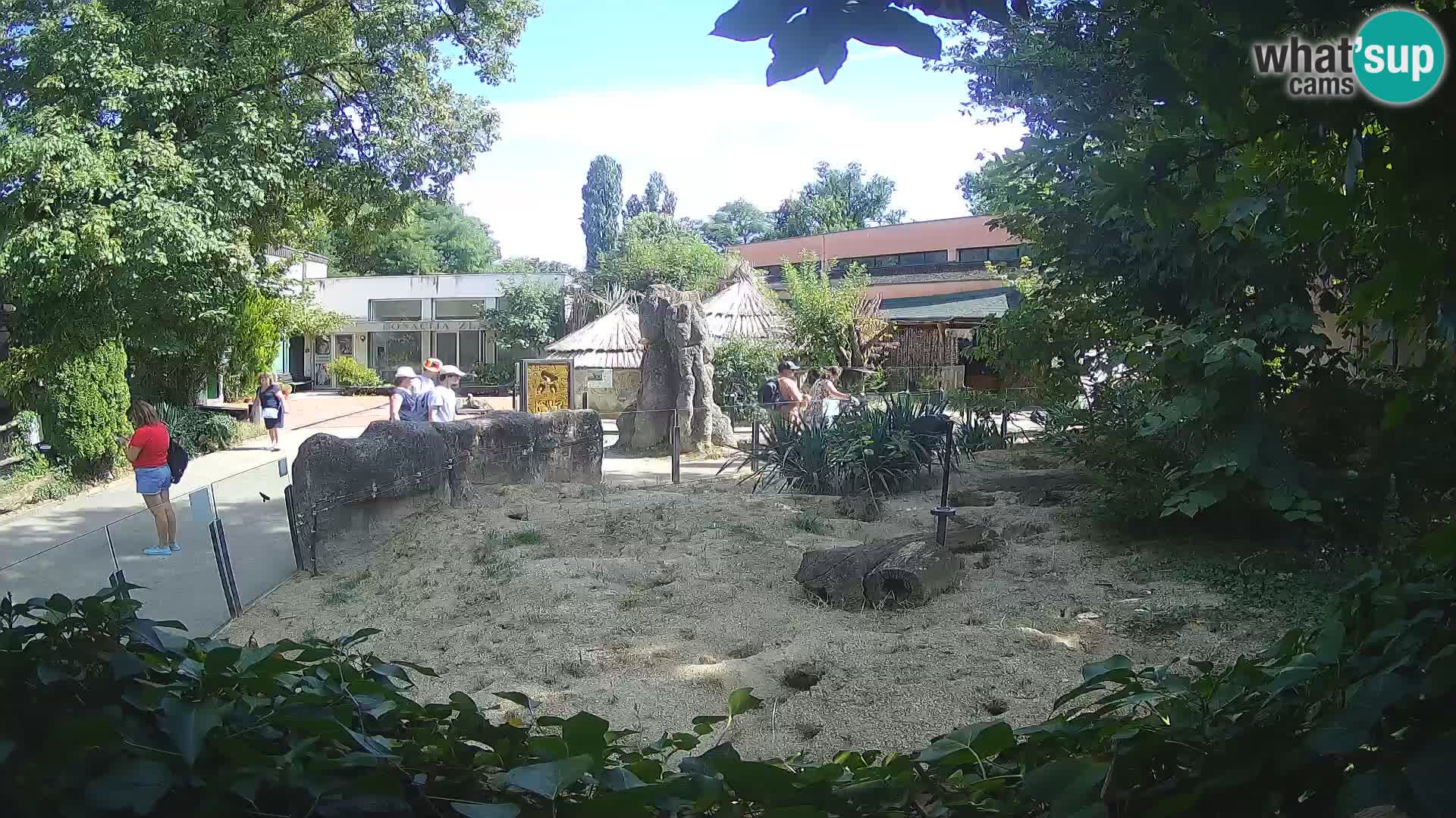 Zoo Zagreb – Erdmännchen