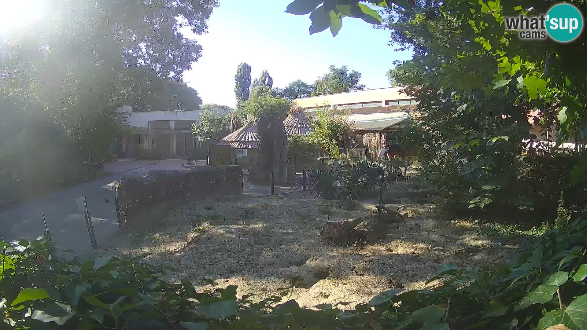 Zoo Zagreb – Erdmännchen