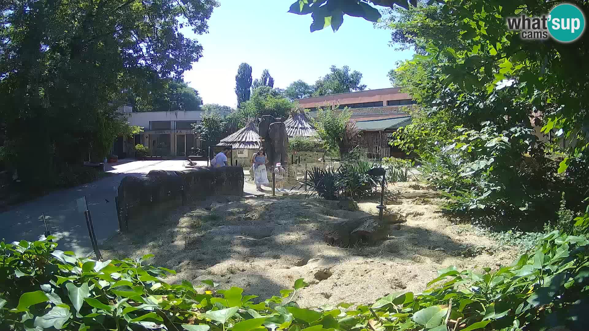 Zoo Zagreb – Erdmännchen