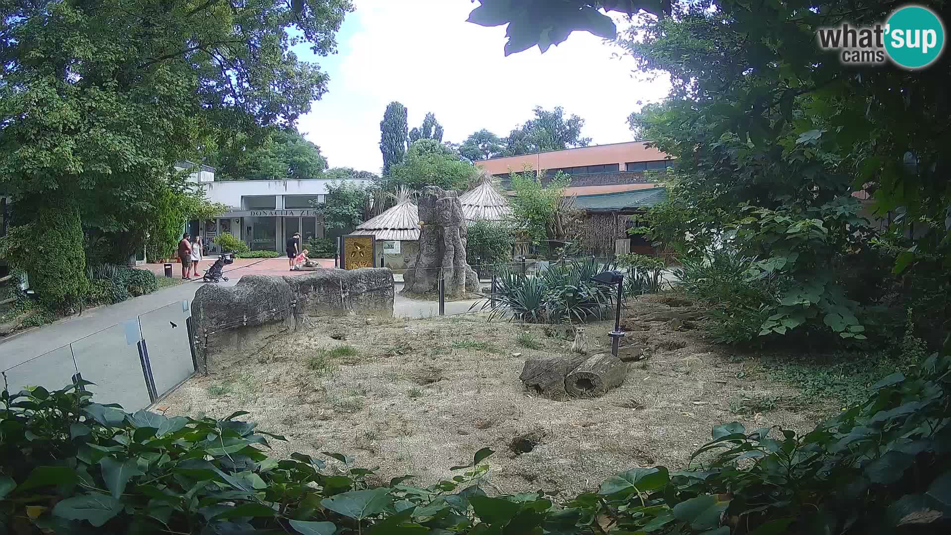 Zoo Zagreb – Erdmännchen