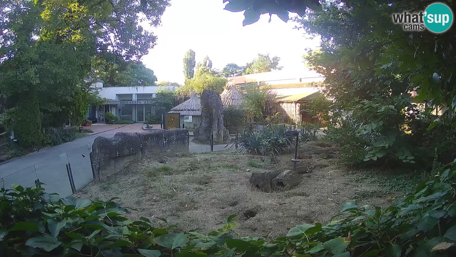 Zoo Zagreb – Erdmännchen