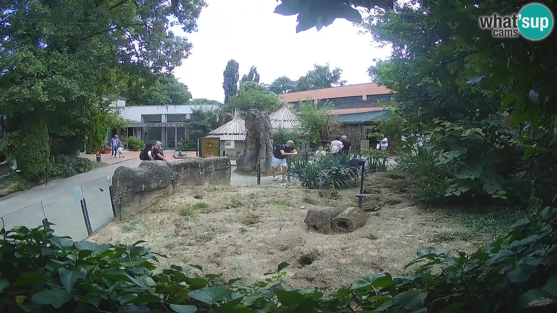 Zoo Zagreb – Erdmännchen