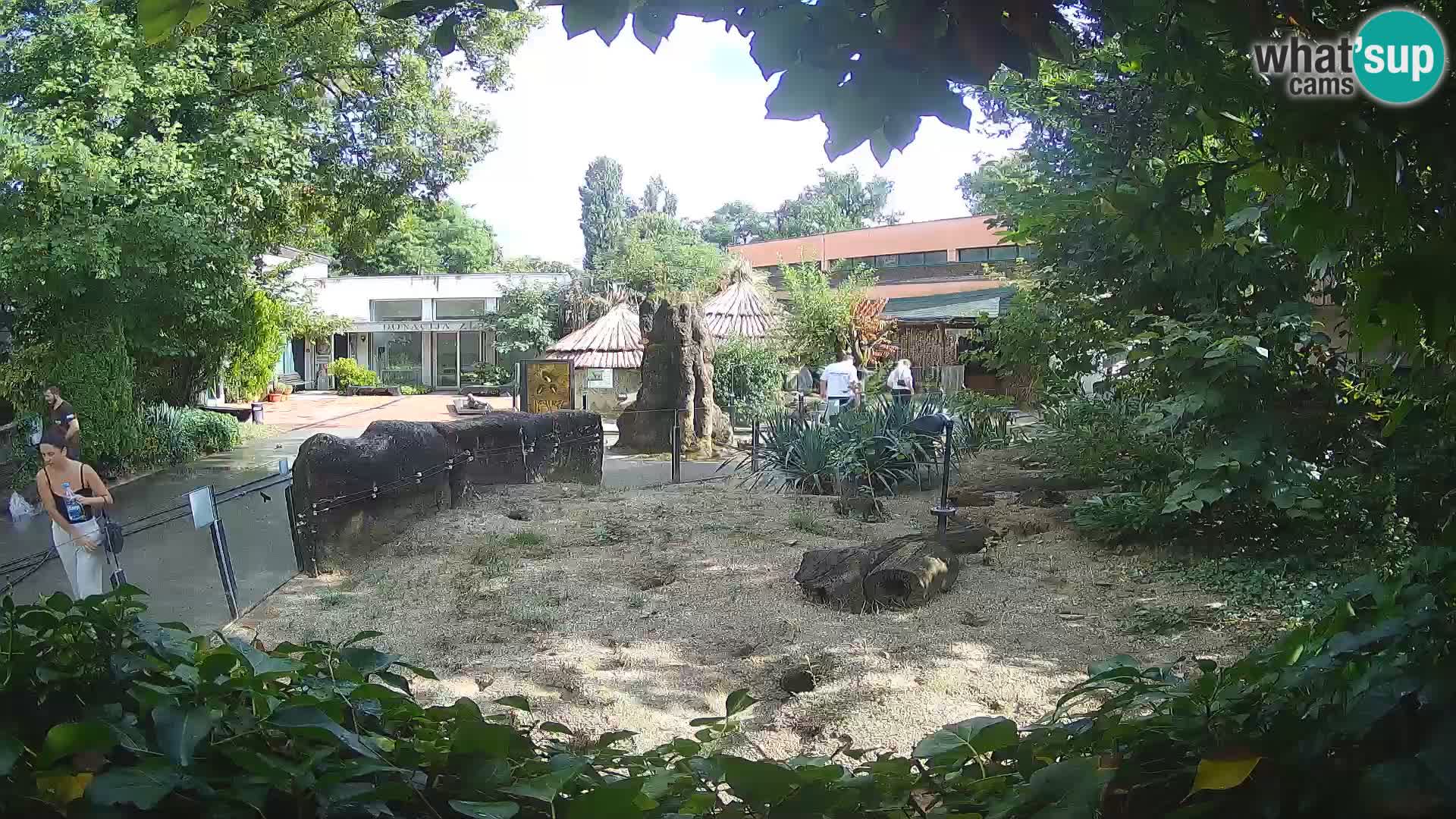 Zoo Zagreb – Erdmännchen