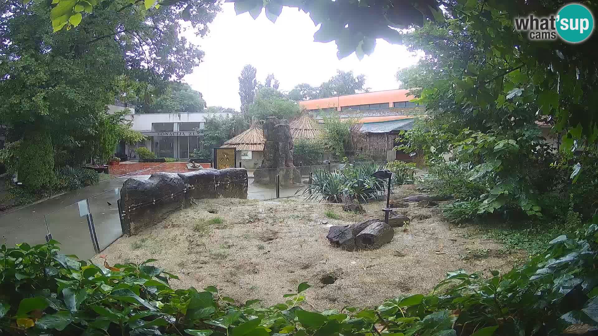 Zoo Zagreb – Merkat