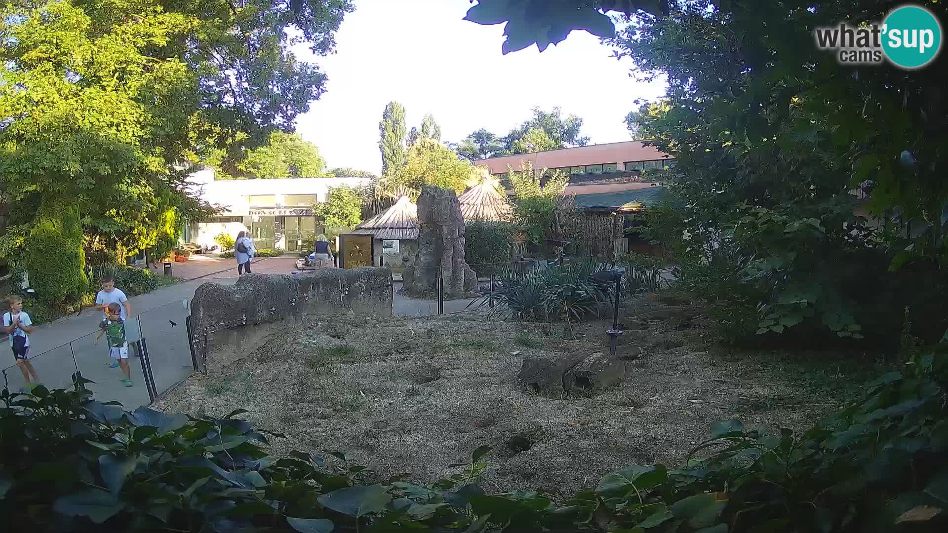 Zoo Zagreb – Merkat