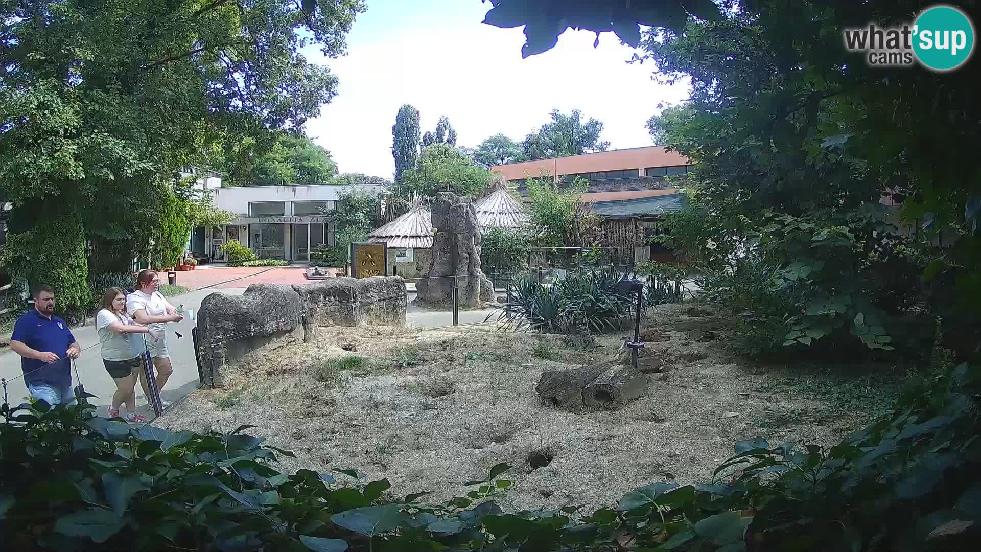 Zoo Zagreb – Erdmännchen
