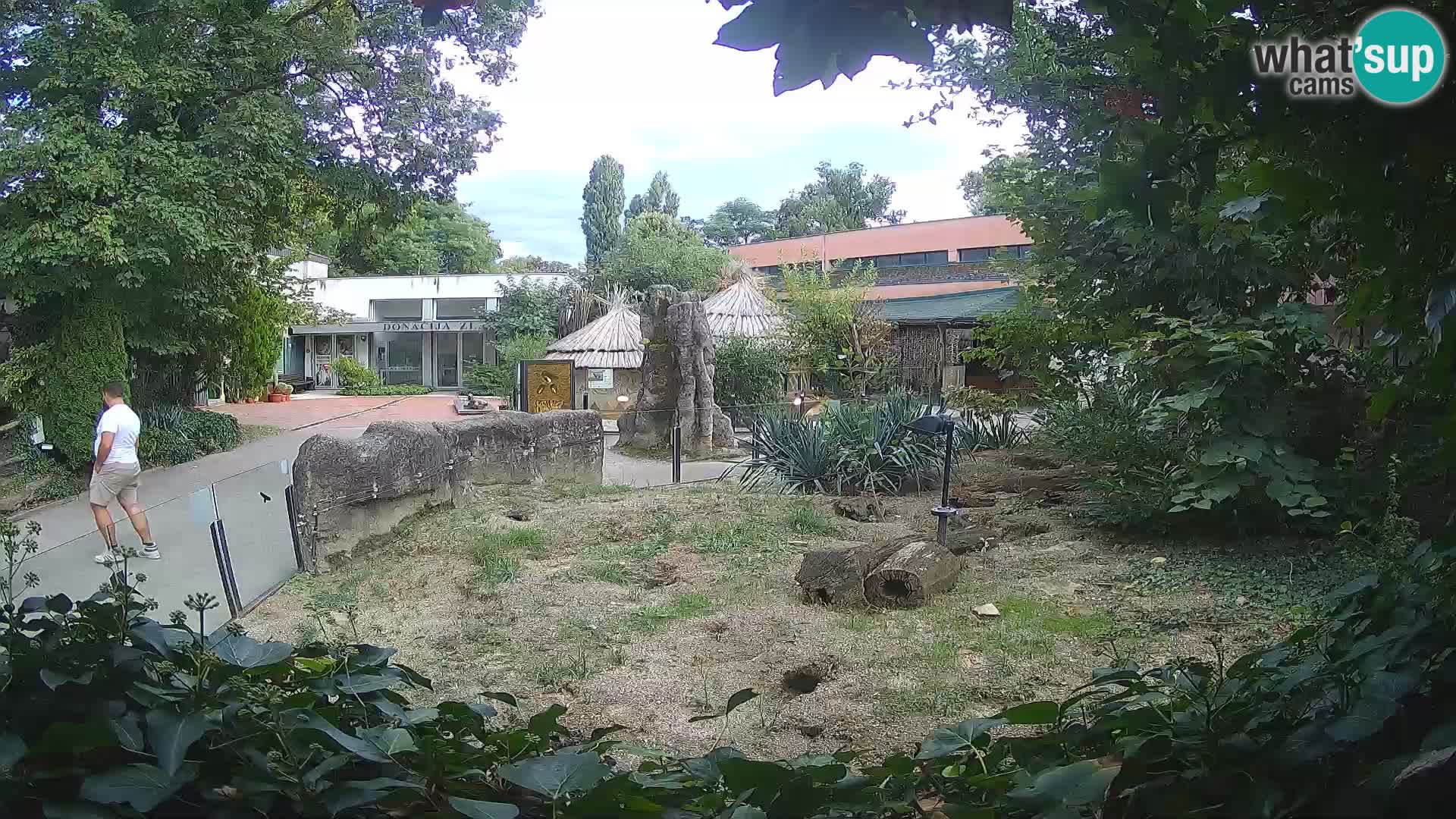 Zoo Zagreb – Erdmännchen