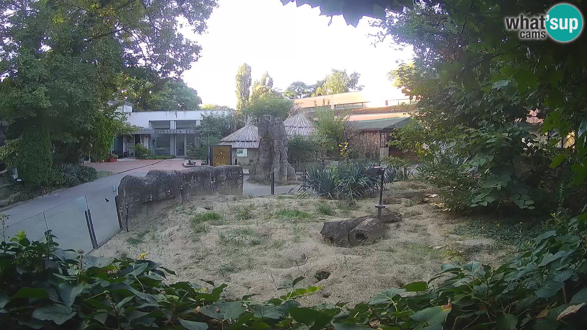 Zoo Zagreb – Erdmännchen
