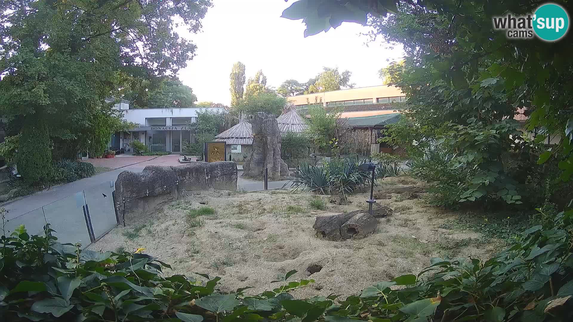 Zoo Zagreb – Suricate