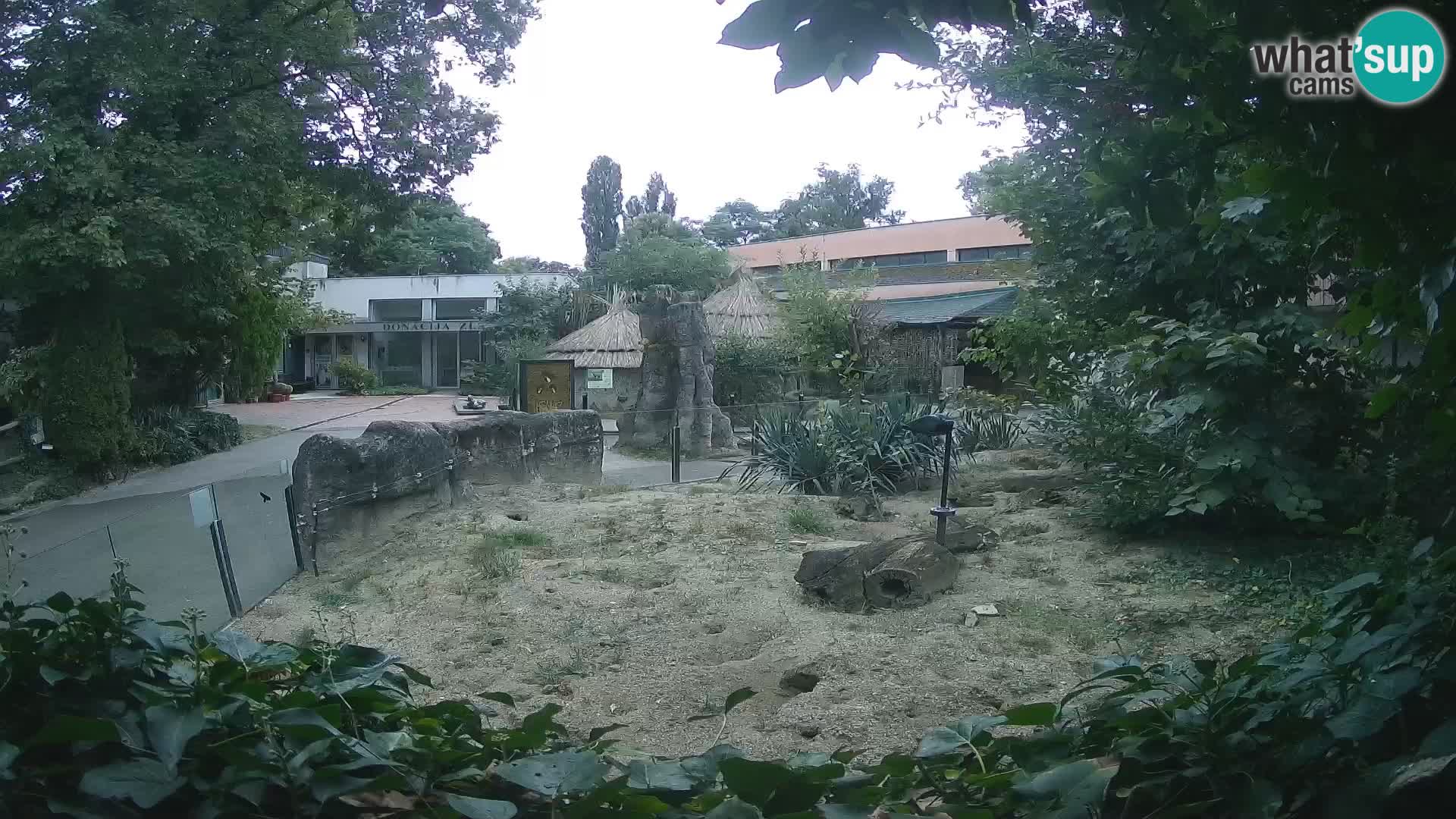 Zoo Zagreb – Erdmännchen
