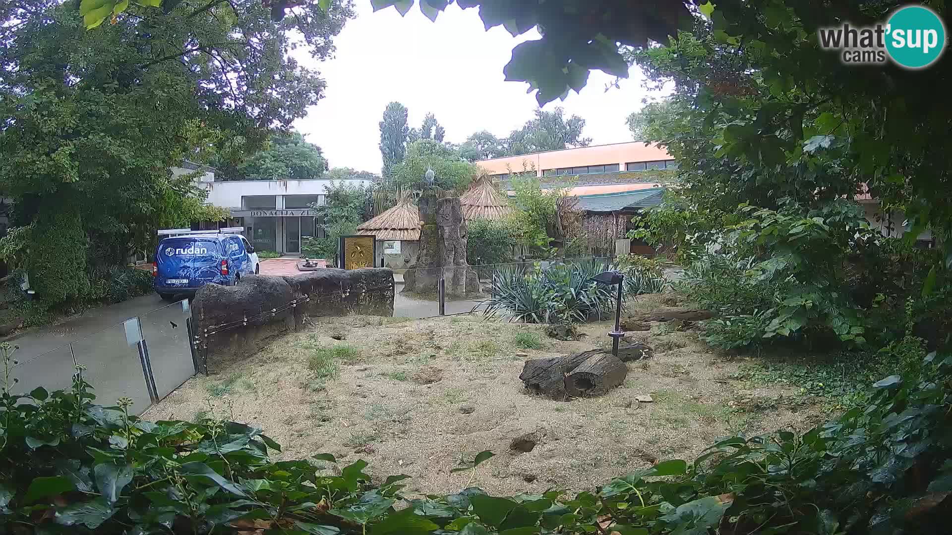Zoo Zagreb – Erdmännchen