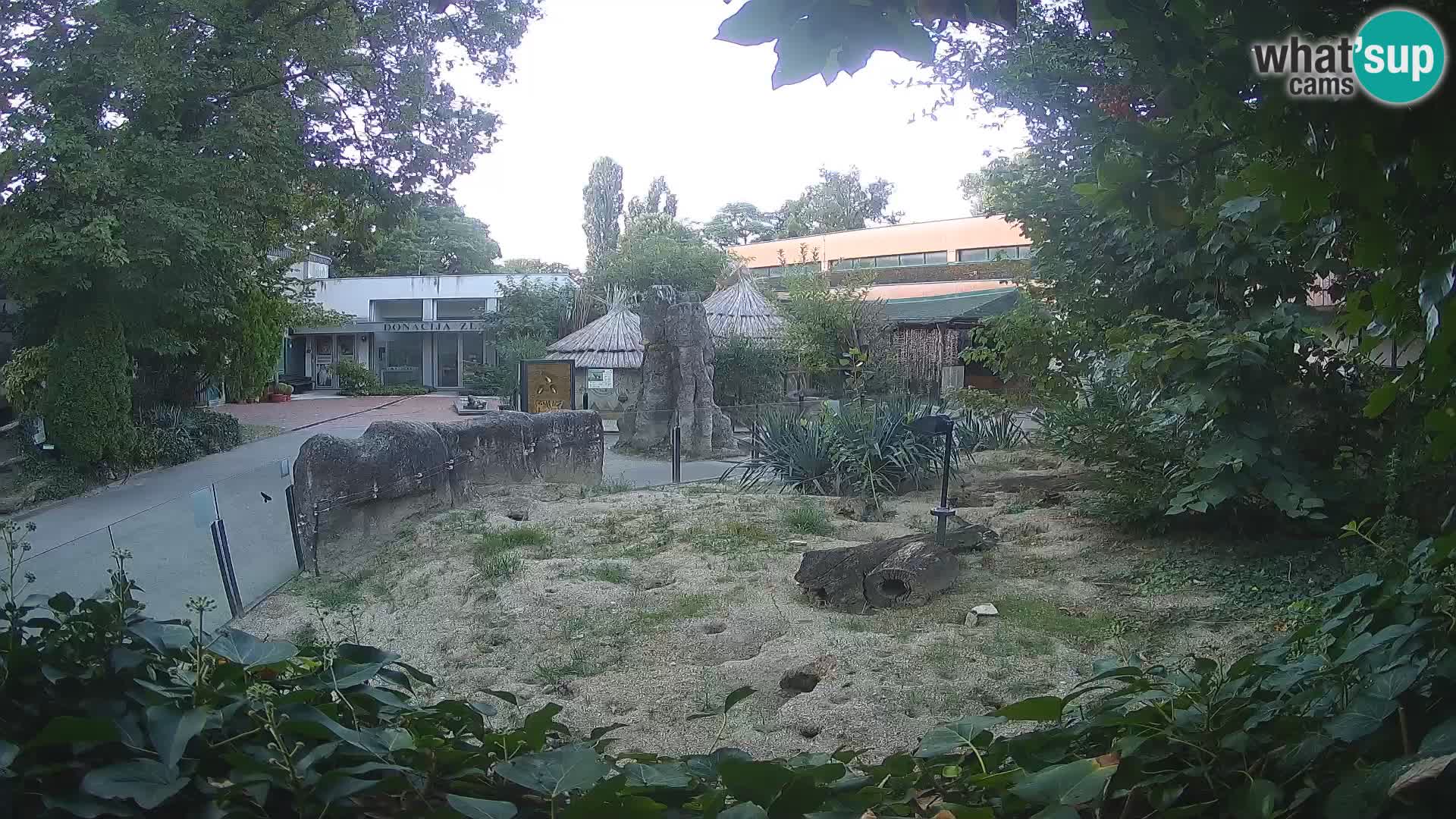 Zoo Zagreb – Erdmännchen