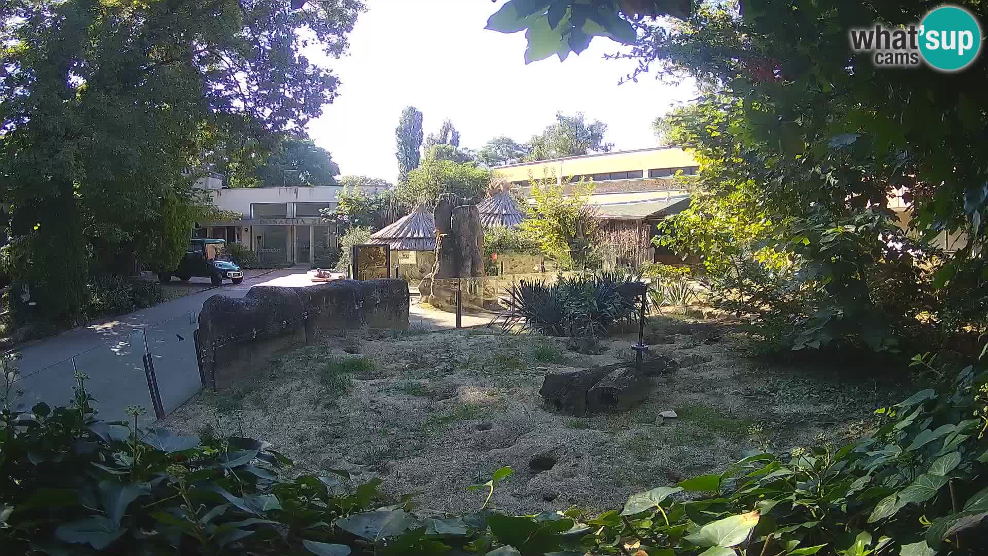 Zoo Zagreb – Erdmännchen