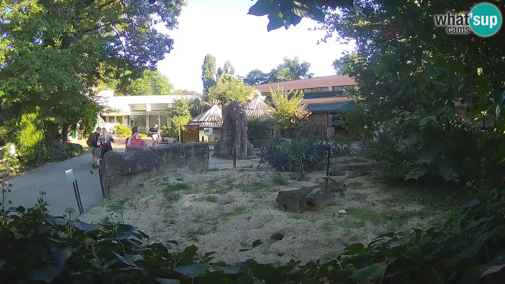 Zoo Zagreb – Merkat