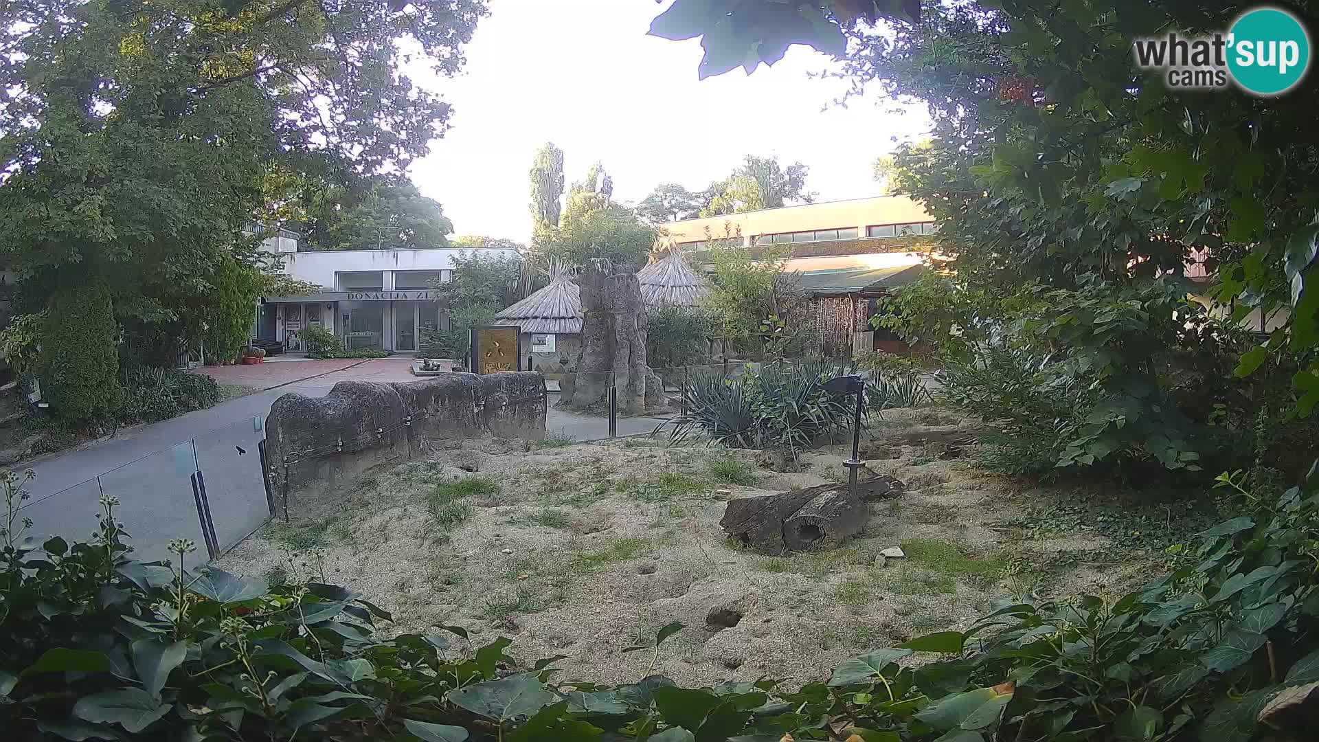 Zoo Zagreb – Surikate