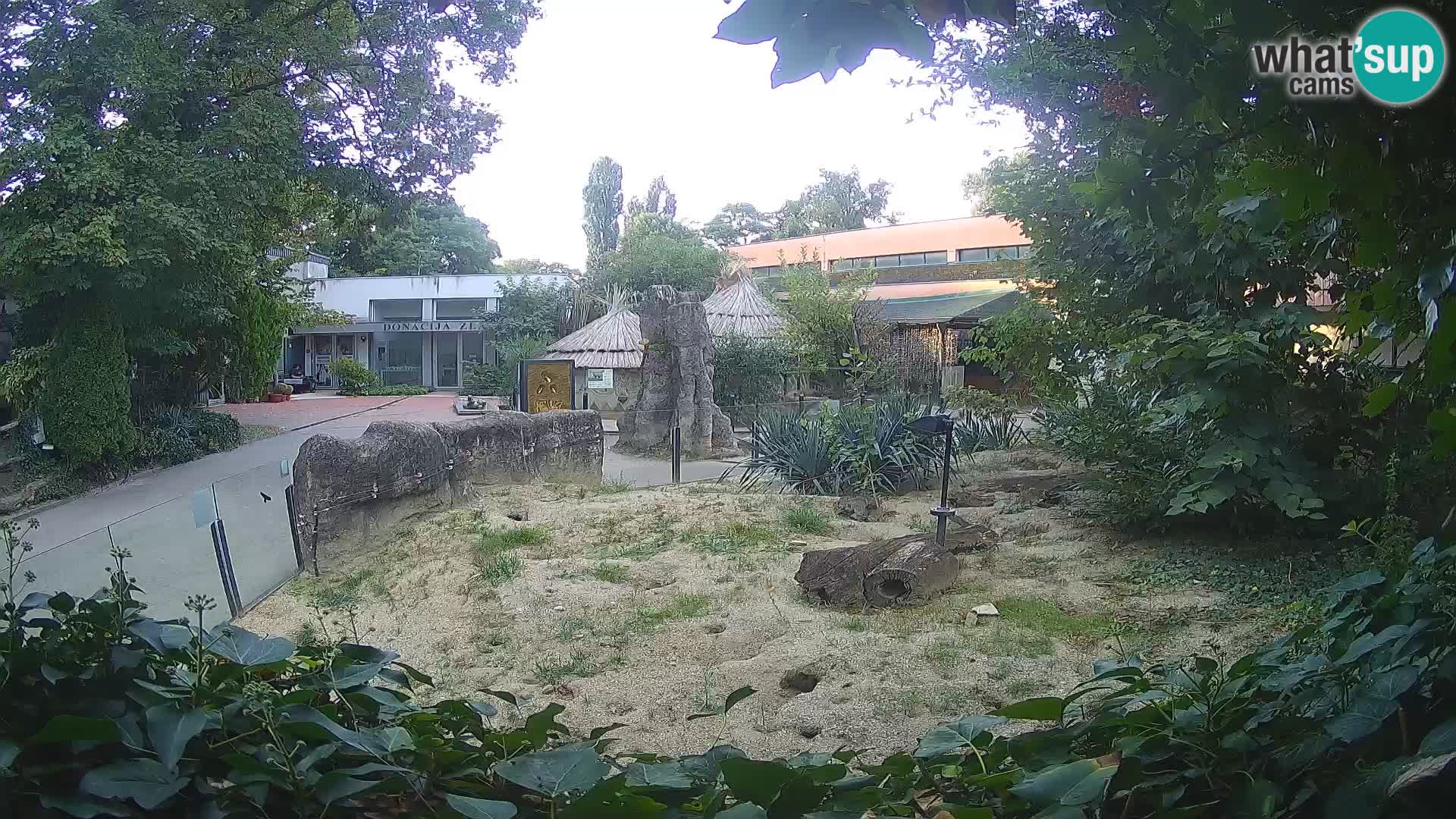 Zoo Zagreb – Surikate