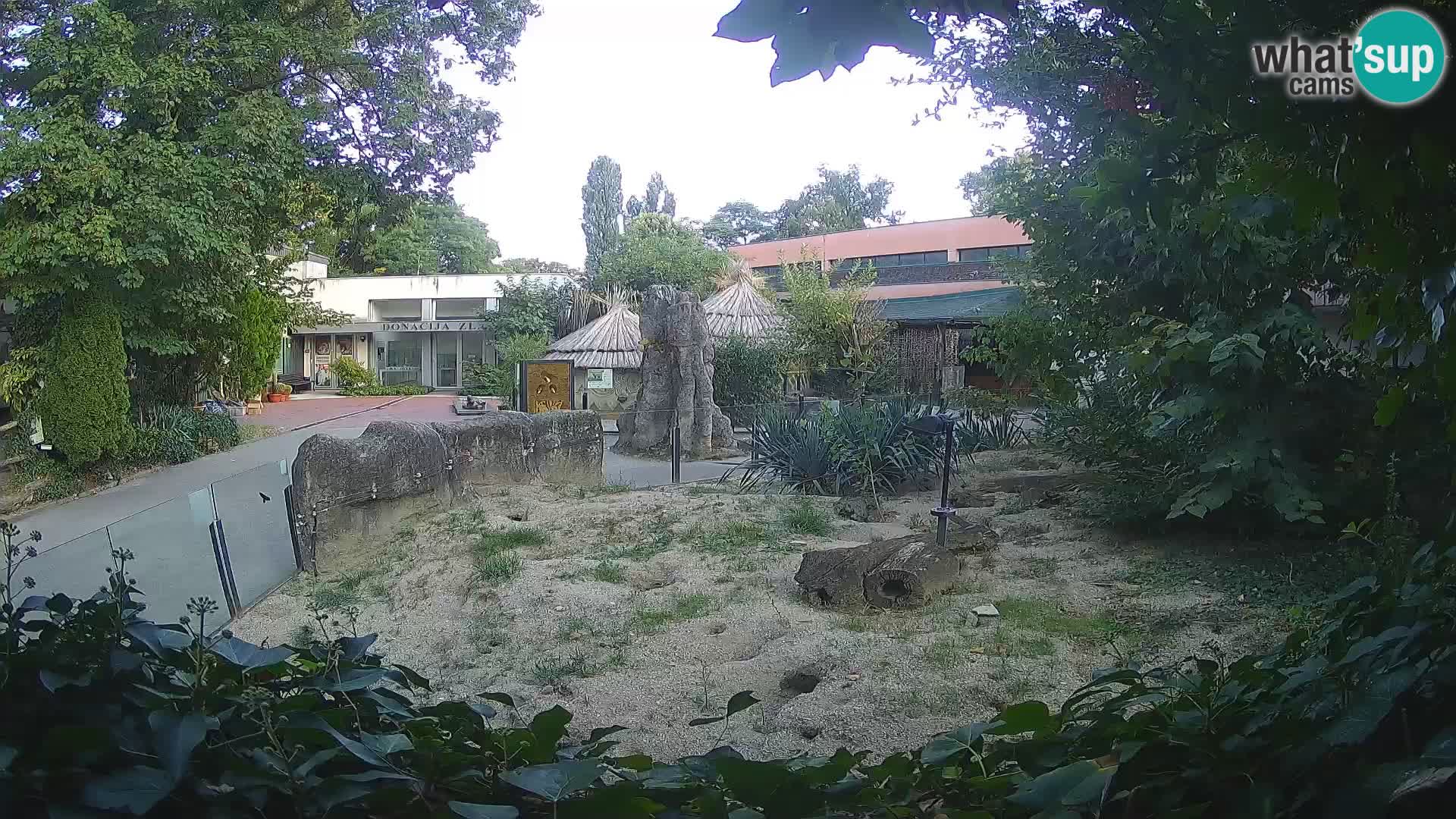 Zoo Zagreb – Erdmännchen
