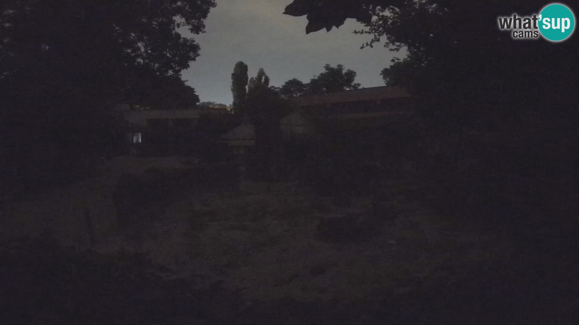 Zoo Zagreb – Surikate