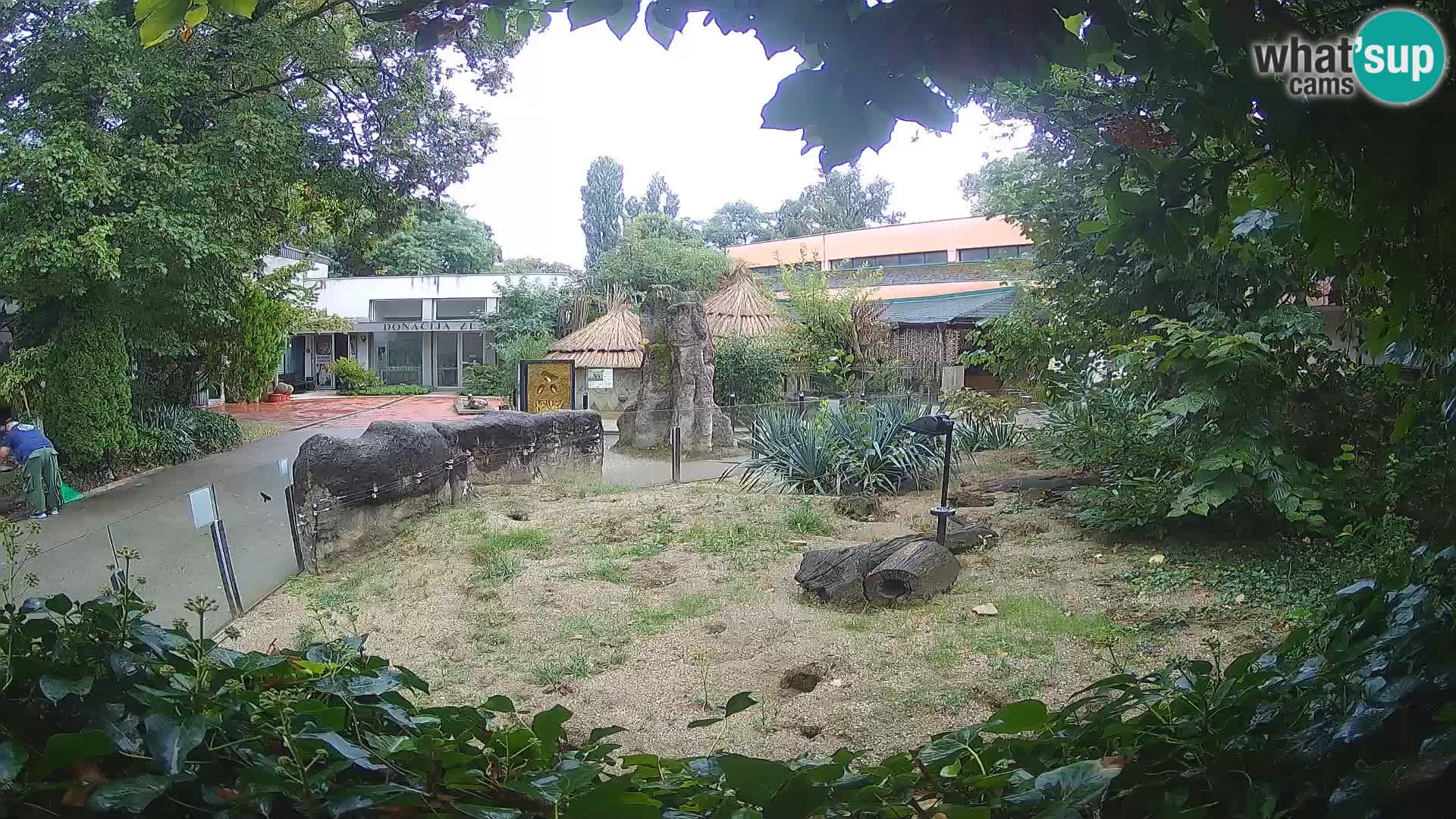 Zoo Zagreb – Surikate