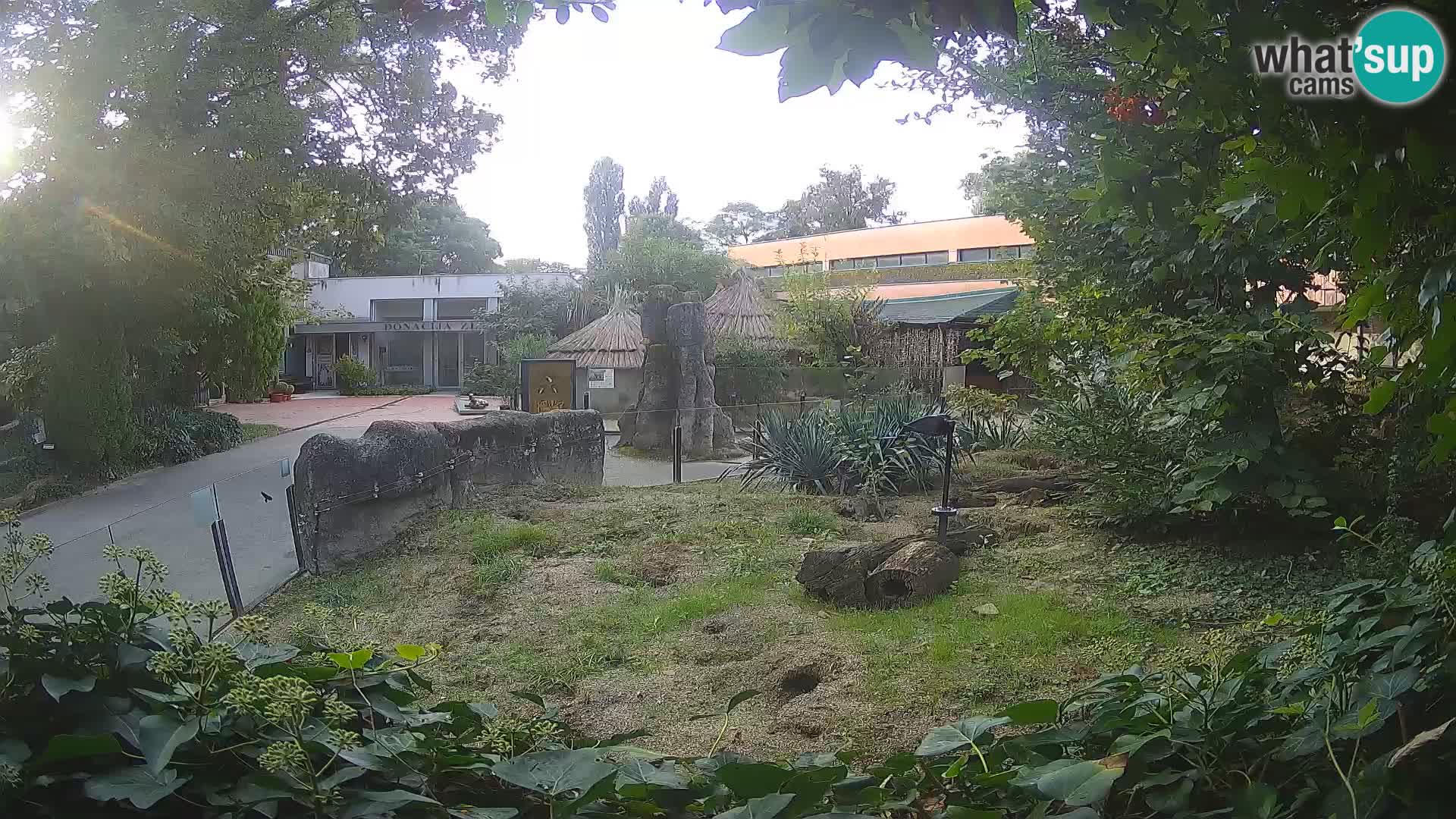 Zoo Zagreb – Suricata