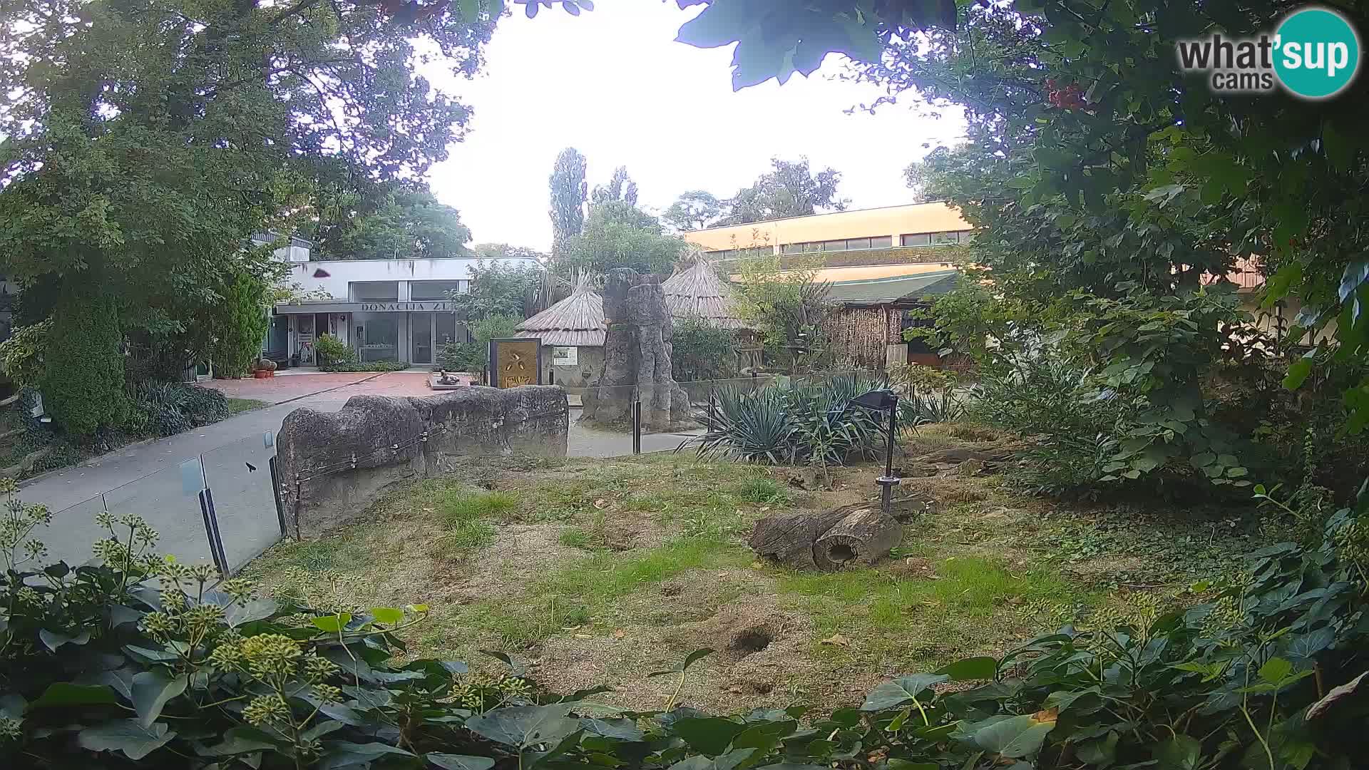 Zoo Zagreb – Merkat