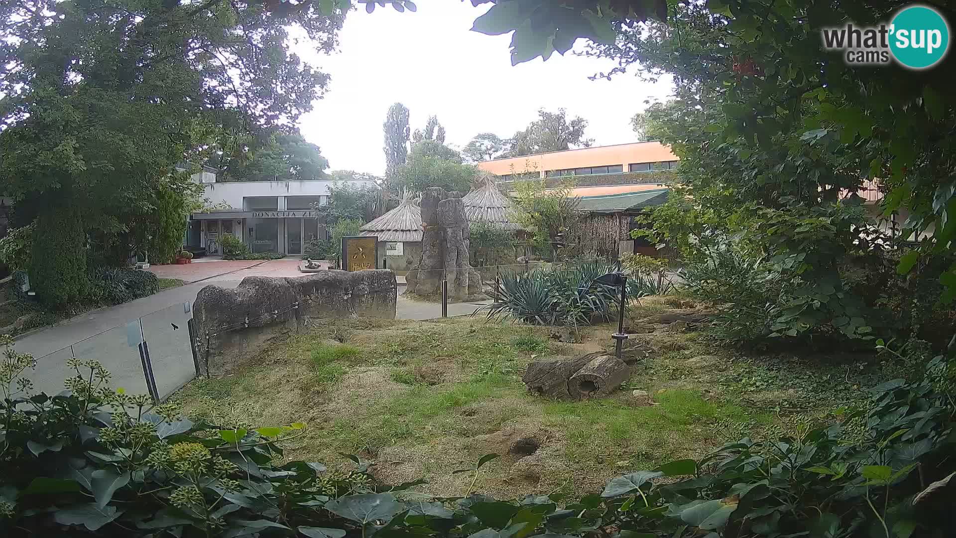Zoo Zagreb – Surikate