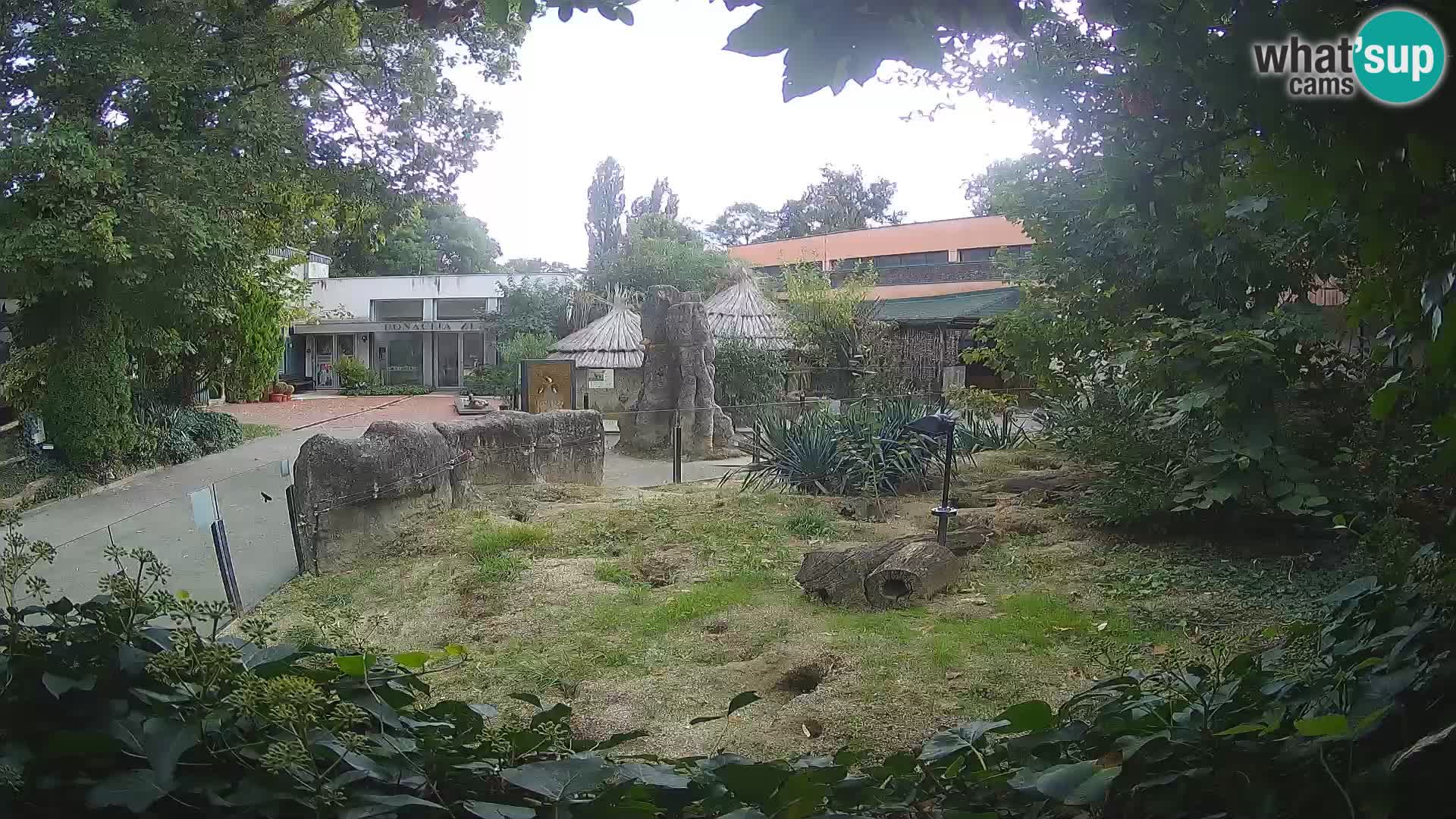 Zoo Zagreb – Surikate