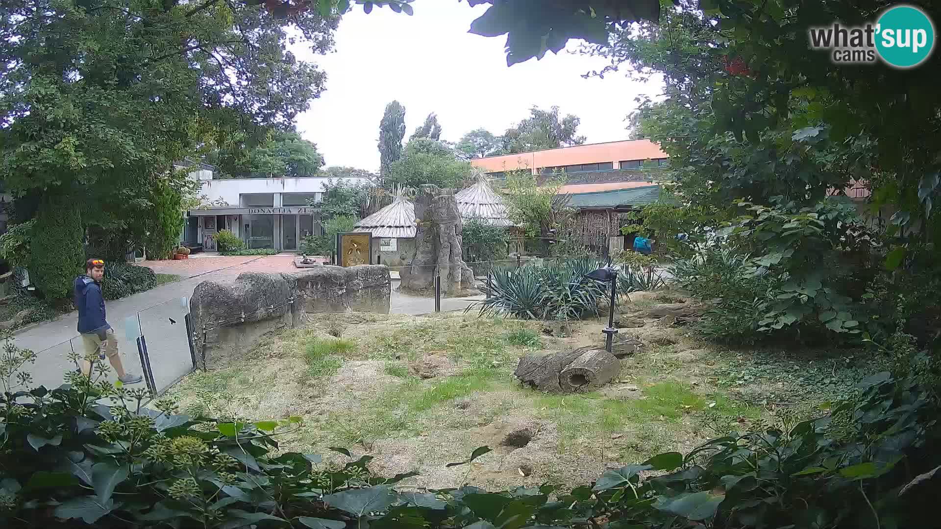 Zoo Zagreb – Surikate