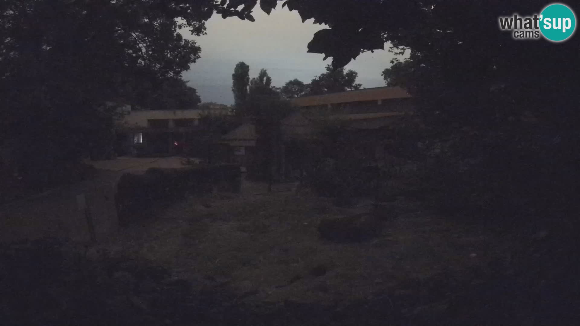 Zoo Zagreb – Erdmännchen