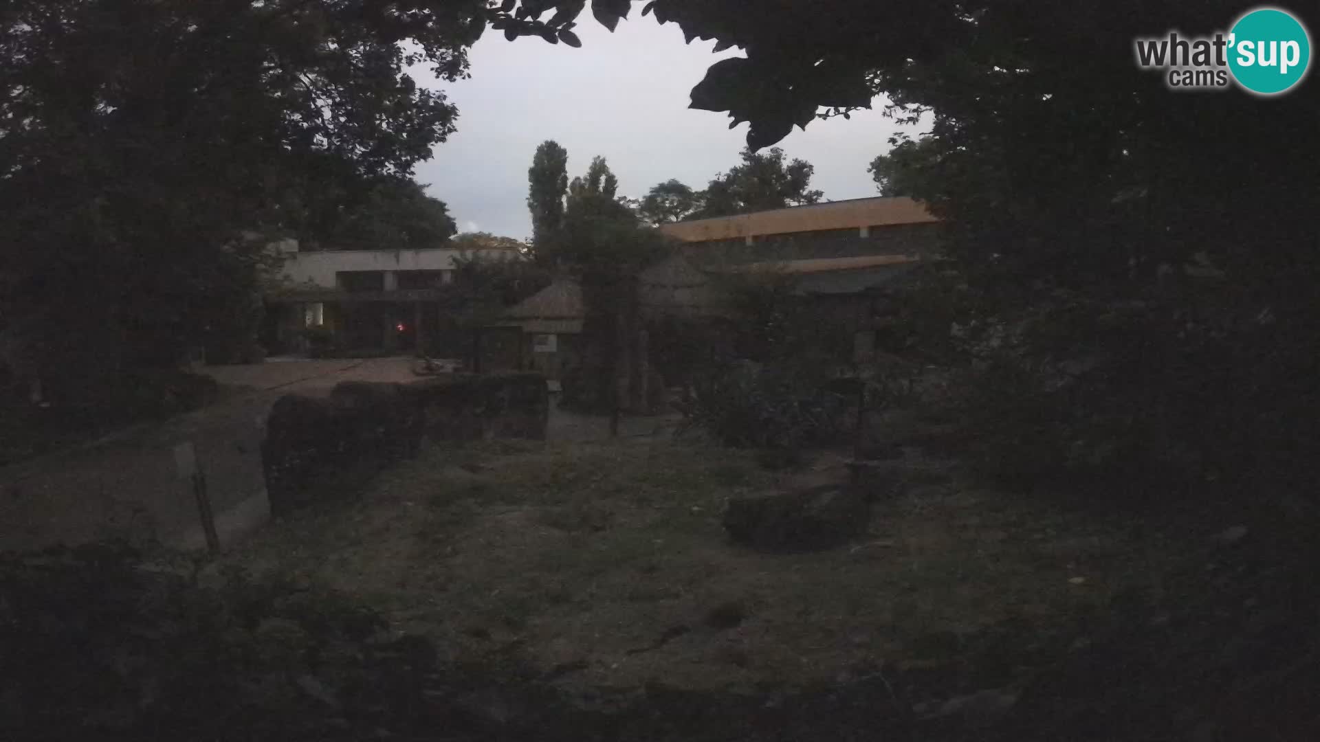 Zoo Zagreb – Surikate