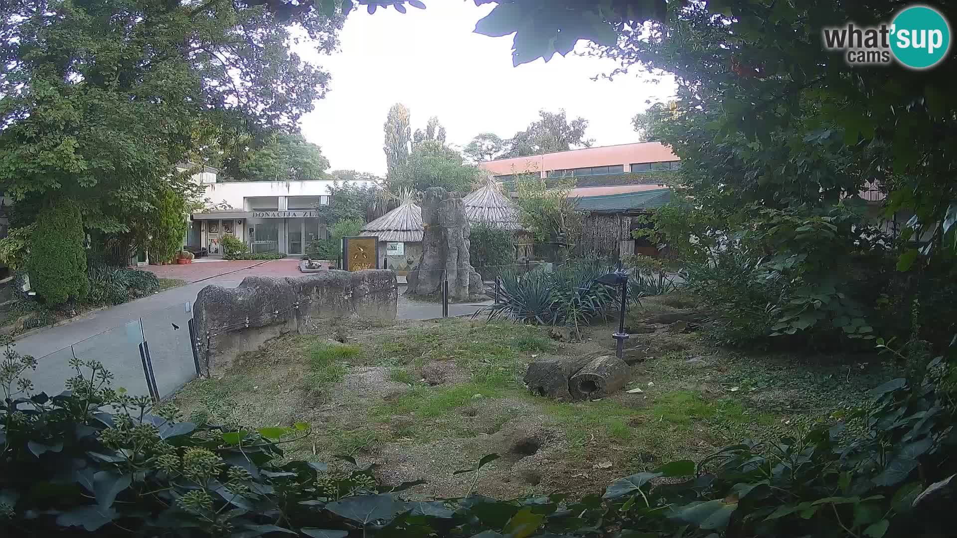Zoo Zagreb – Erdmännchen