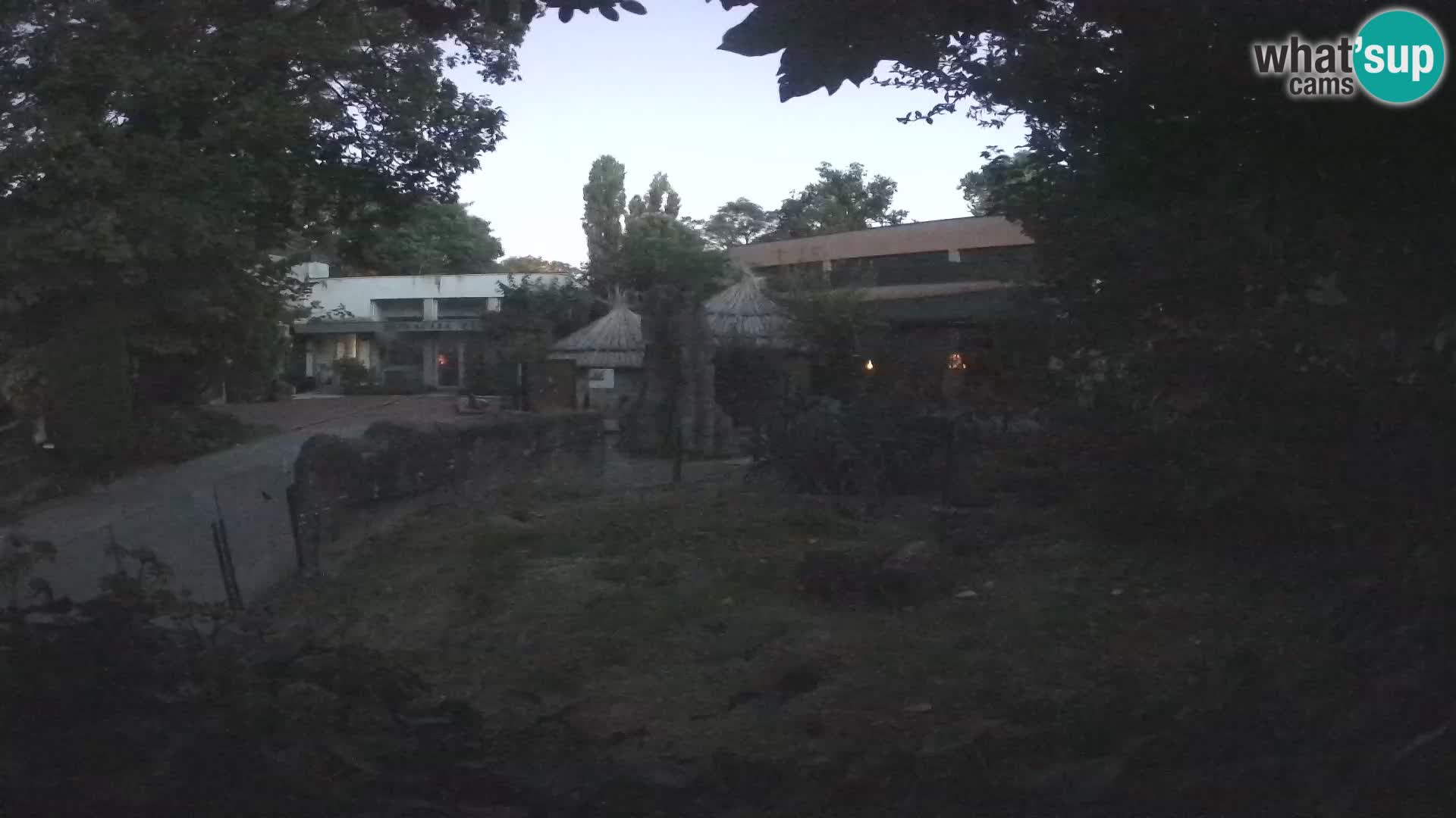 Zoo Zagreb – Erdmännchen
