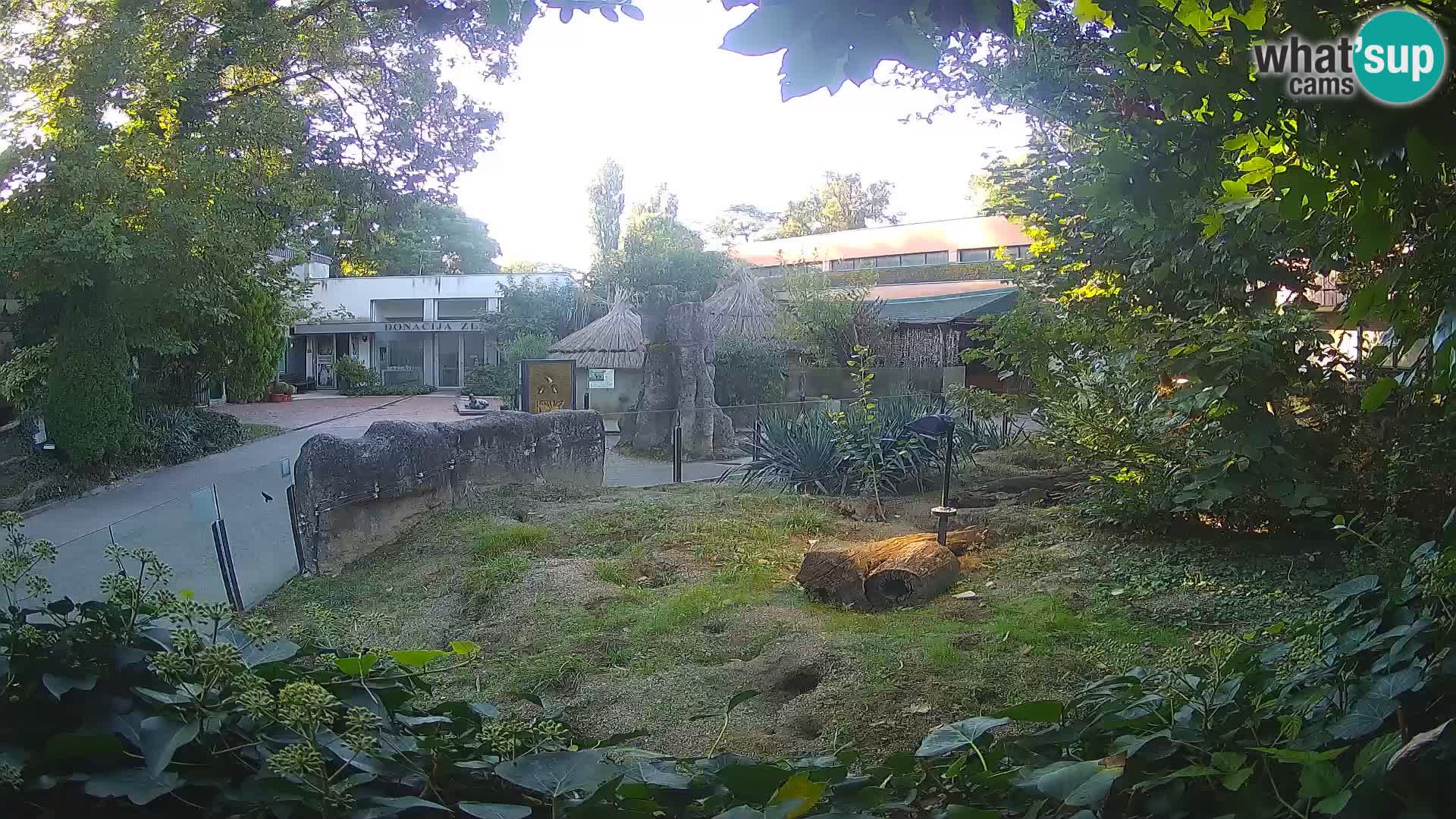 Zoo Zagreb – Merkat
