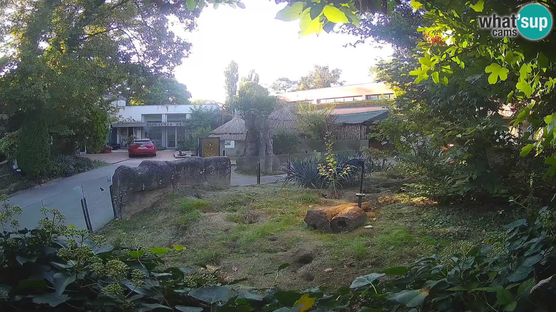 Zoo Zagreb – Merkat