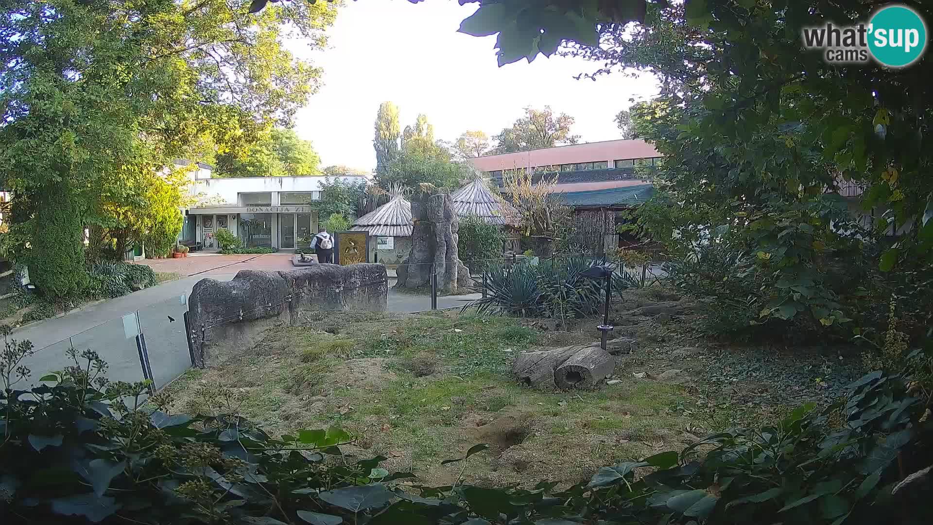 Zoo Zagreb – Merkat