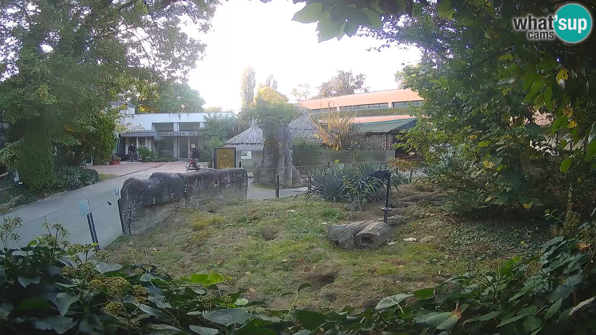 Zoo Zagreb – Erdmännchen