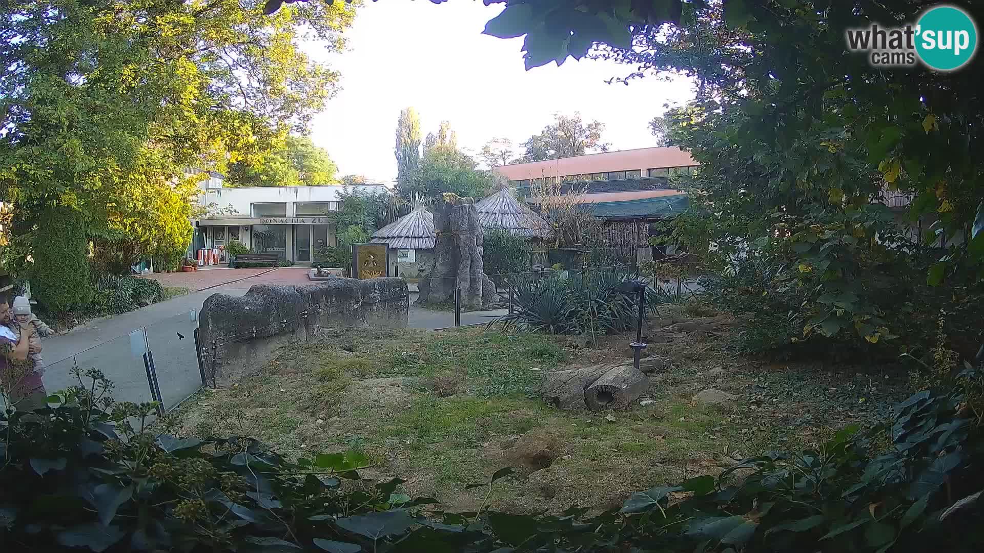 Zoo Zagreb – Merkat