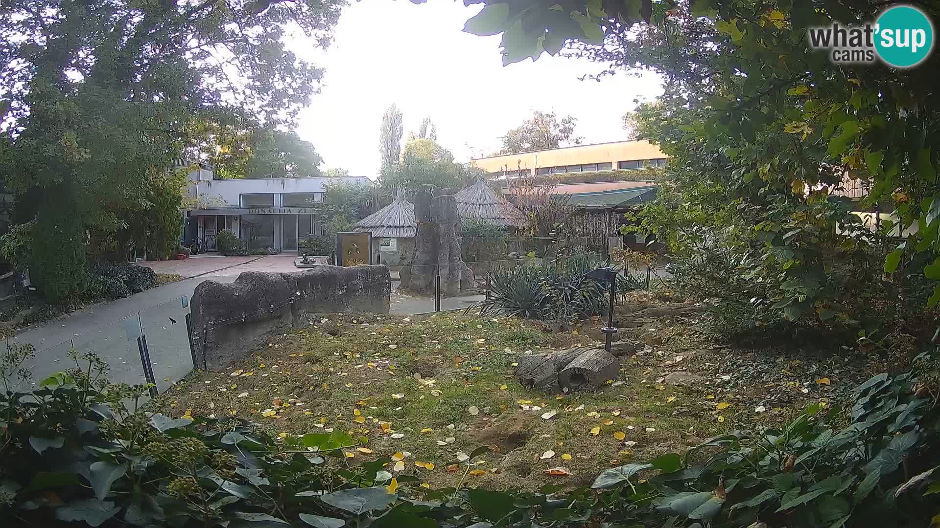 Zoo Zagreb – Erdmännchen