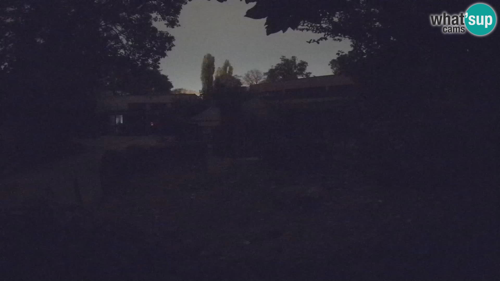 Zoo Zagreb – Surikate
