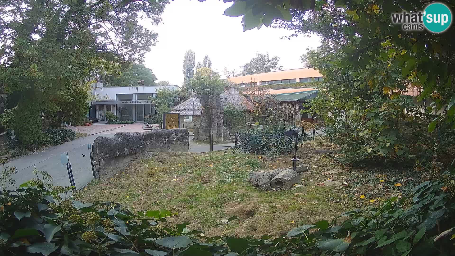 Zoo Zagreb – Surikate