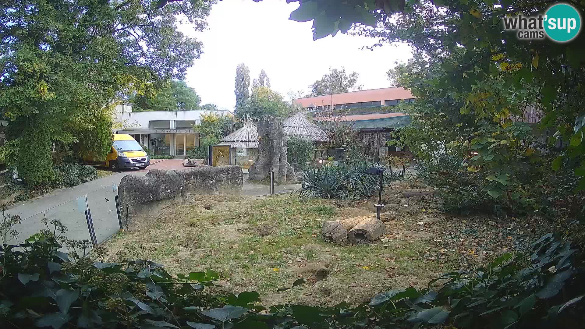 Zoo Zagreb – Suricate