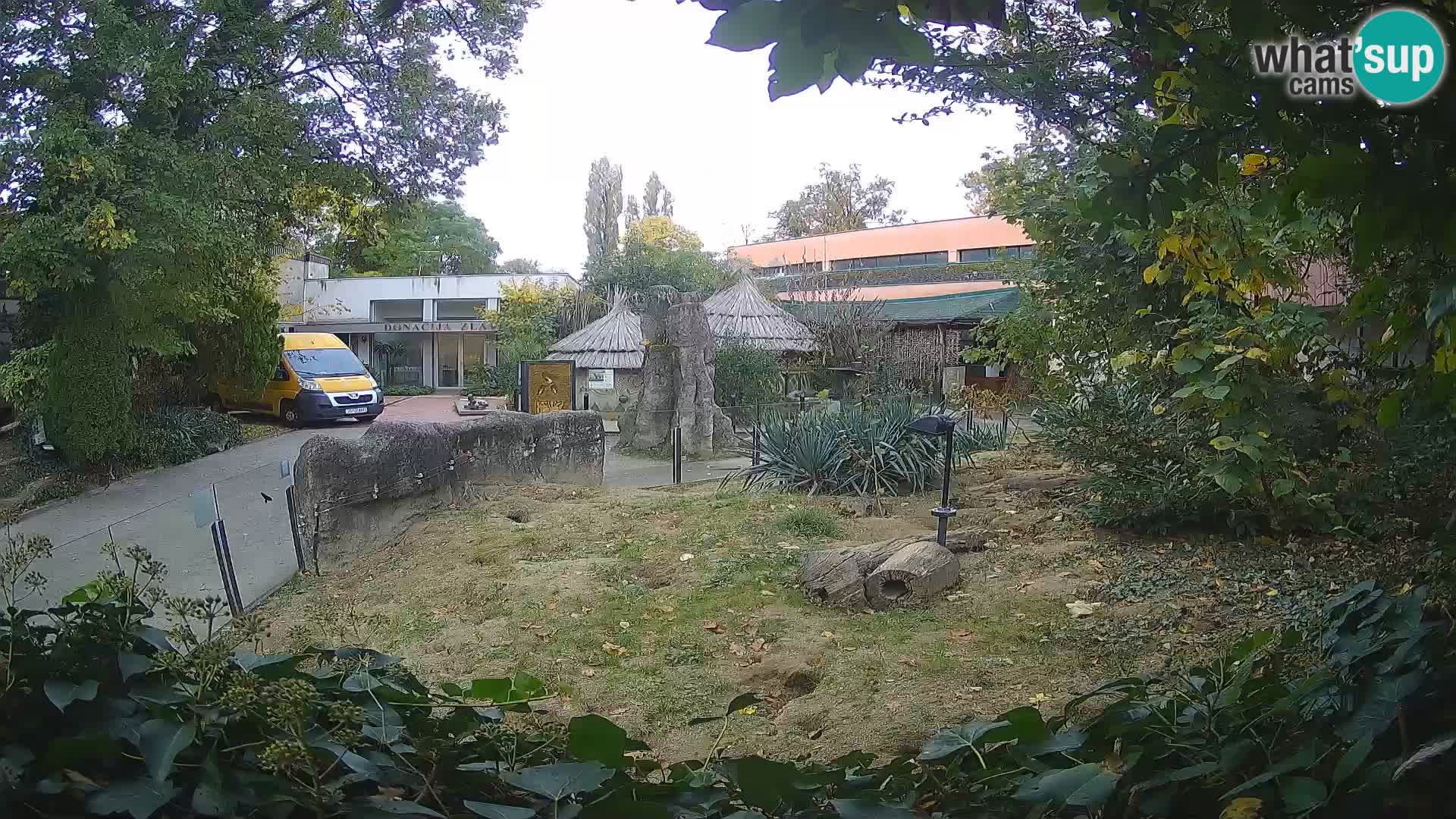 Zoo Zagreb – Suricate