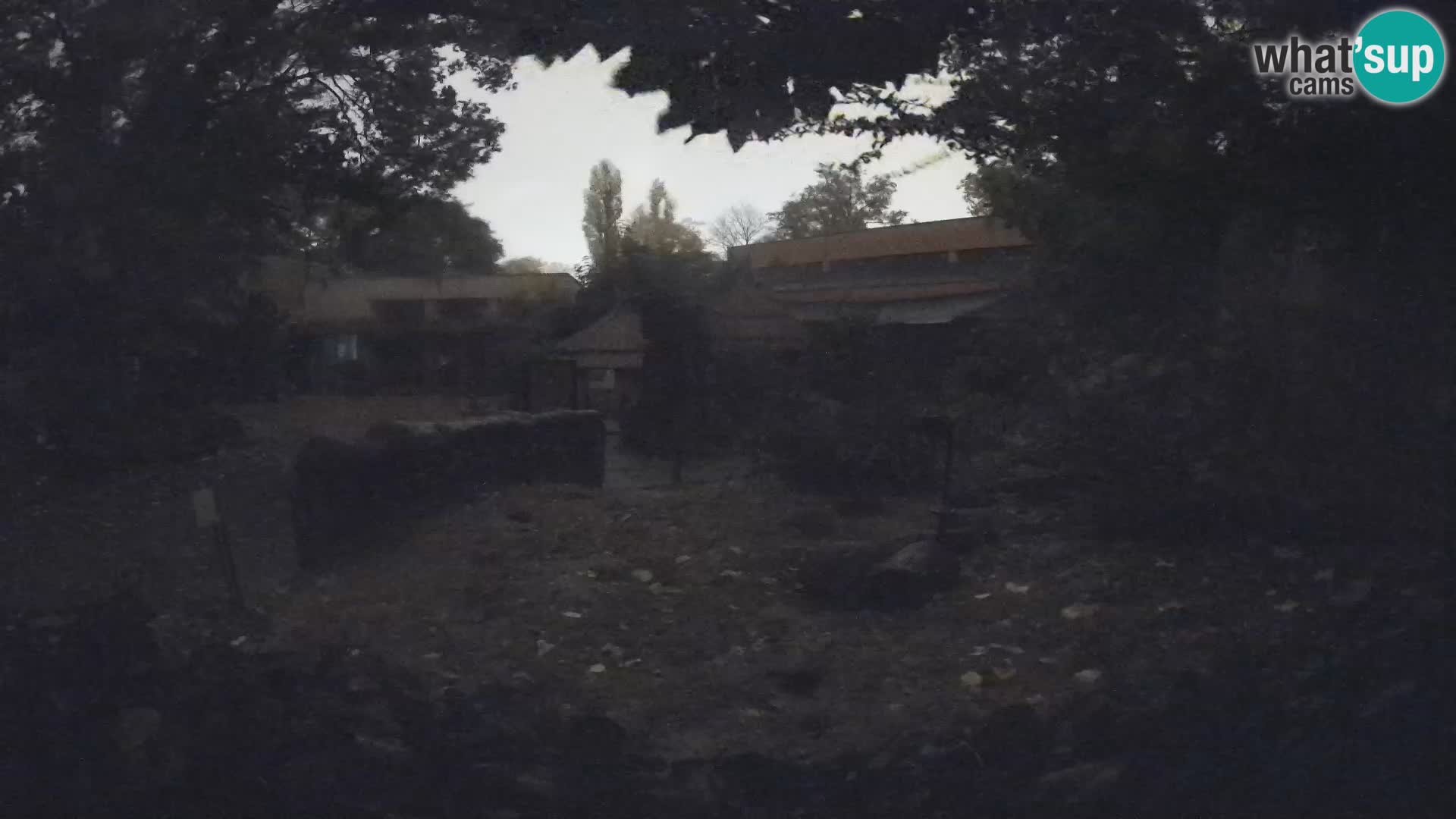 Zoo Zagreb – Erdmännchen