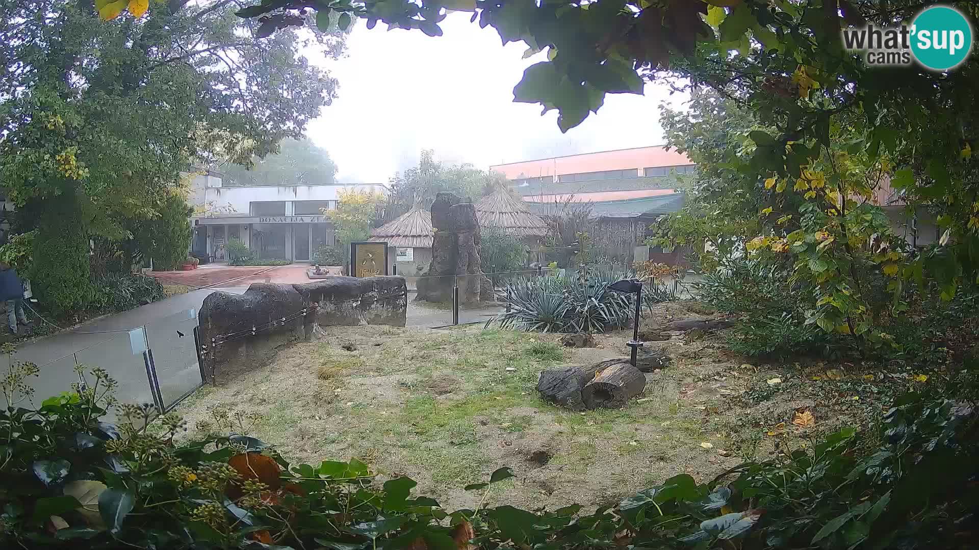 Zoo Zagreb – Erdmännchen